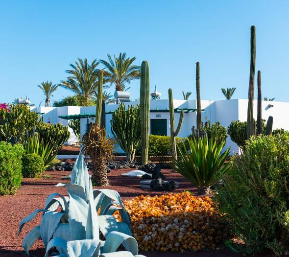 Gardens Hotel HL Club Playa Blanca**** Lanzarote