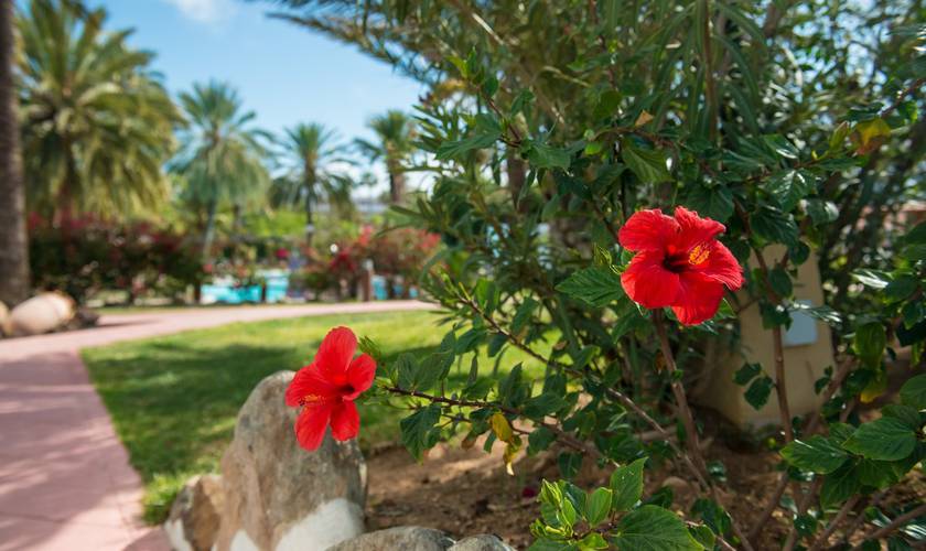 Gardens HL Miraflor Suites**** Hotel Gran Canaria